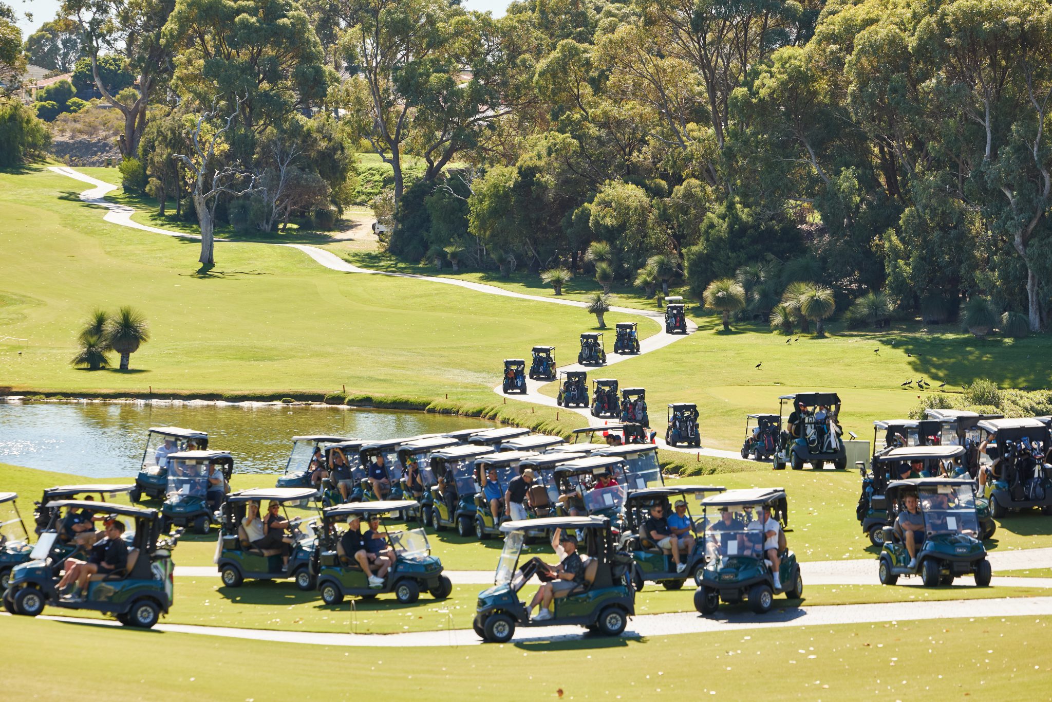UDIA WA 2026 Golf Day